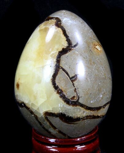 Polished Septarian Egg #41792